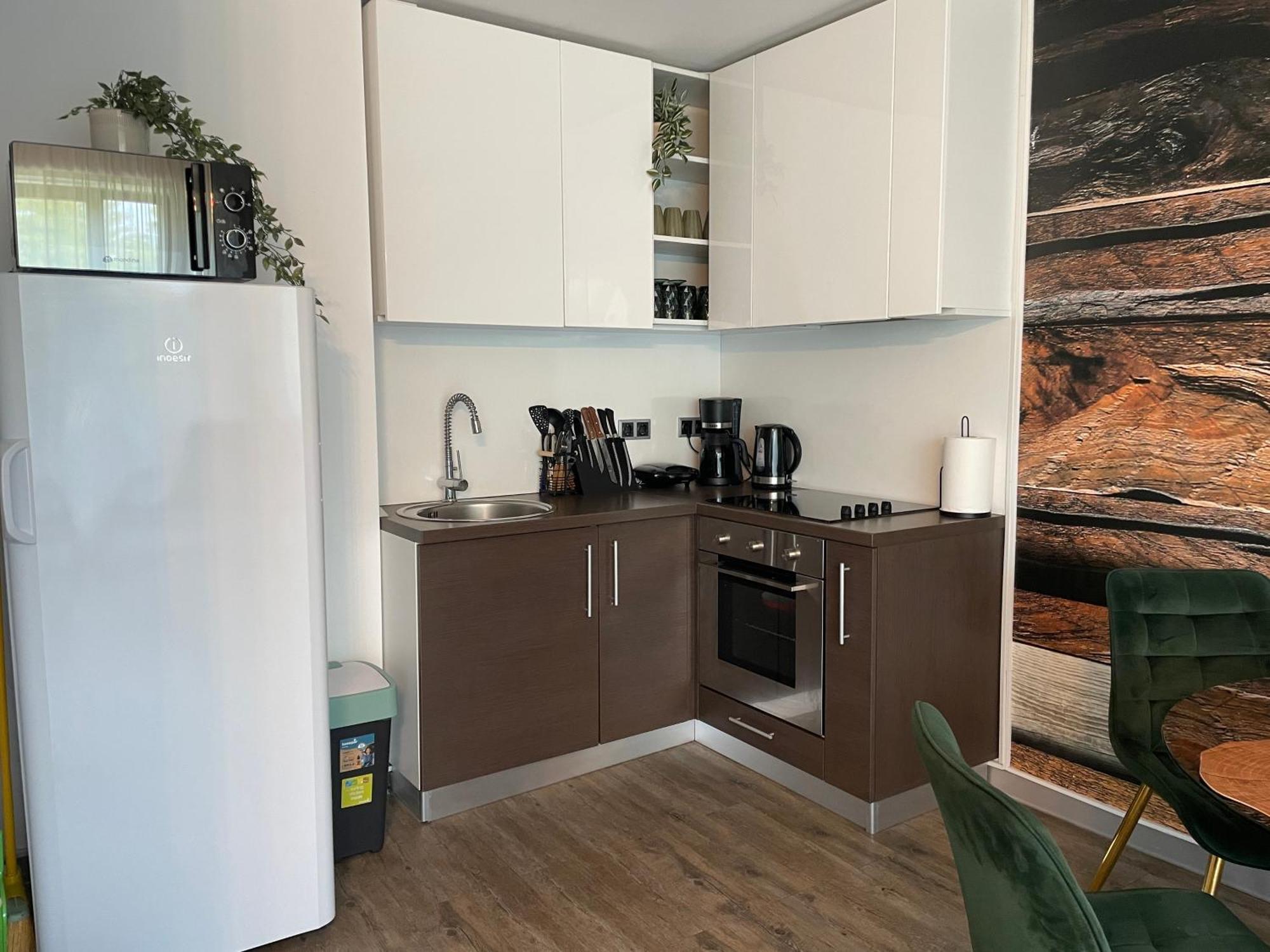 Luxury Silver Mountain Apartment Poiana Braşov Dış mekan fotoğraf